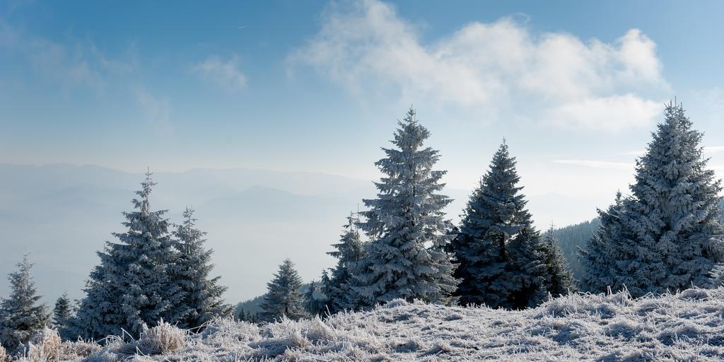 Ladoven Skvela Kuchyna A Rodinna Atmosfera 3* Мартін